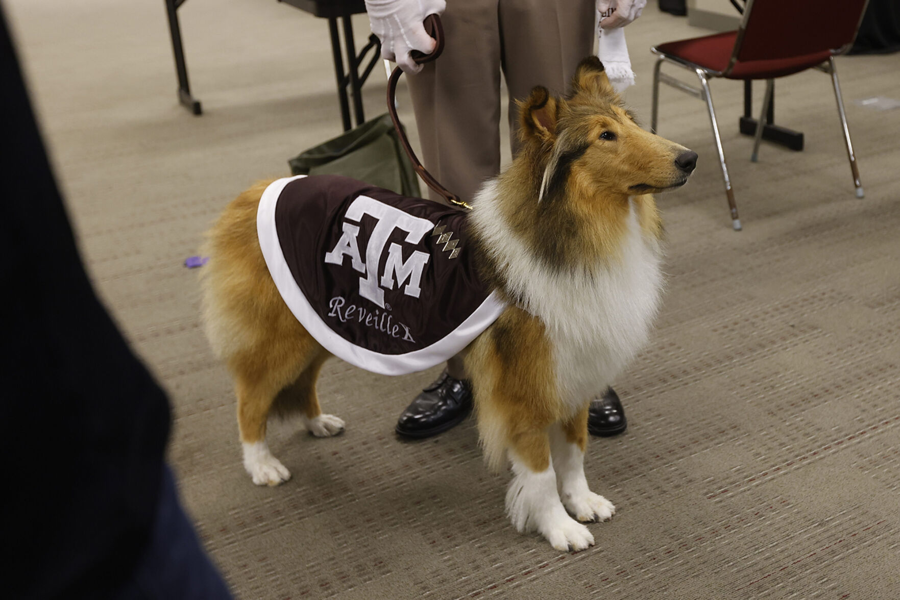 Reveille X